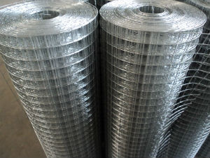 现货销售工艺墙面铁丝网、保温兔笼与养殖水貂笼网 深州市腾源丝网厂的专业金属网解决方案